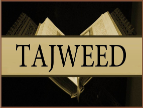 Learn Tajweed